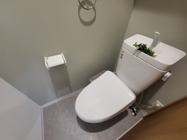 トイレ　ウォシュレット付きのトイレです！