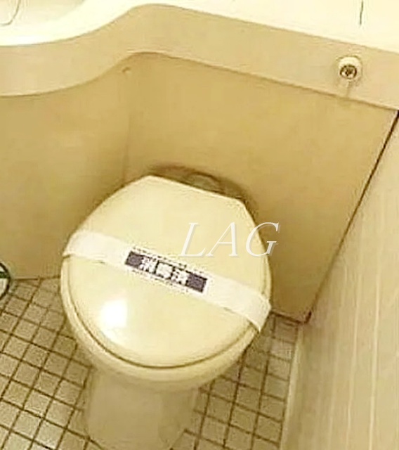 トイレ　トイレです。
