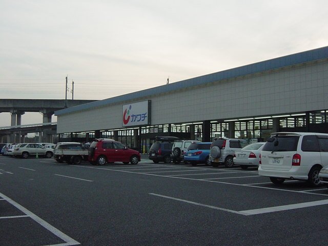 ドラックストア　カワチ薬品藤岡店（ドラッグストア）まで605m