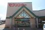 スーパー　セブンスター東長戸店（スーパー）まで309m