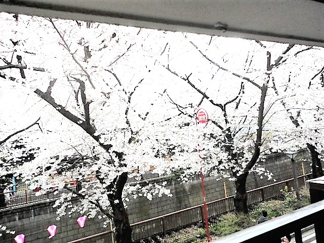 青葉台マンションのその他写真