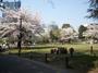 公園　目黒区立菅刈公園（公園）まで202m