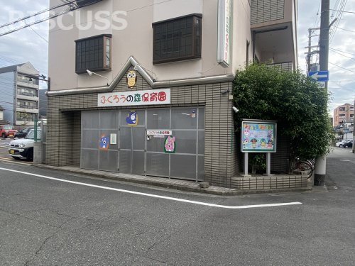 【メゾン・ド・フェニックスの幼稚園・保育園】