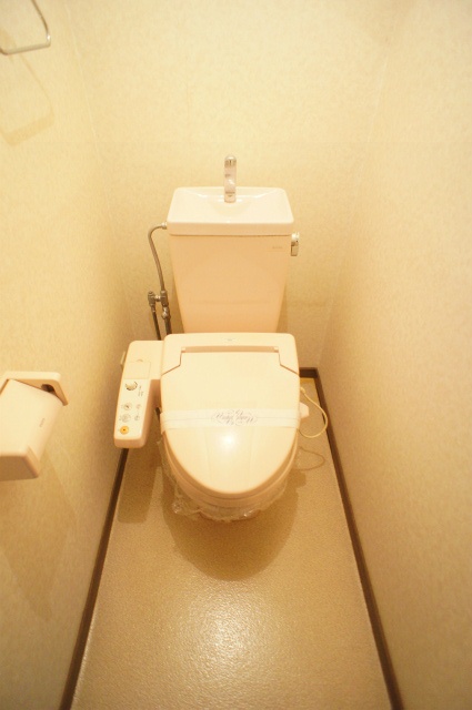 トイレ　トイレも気になるポイント
