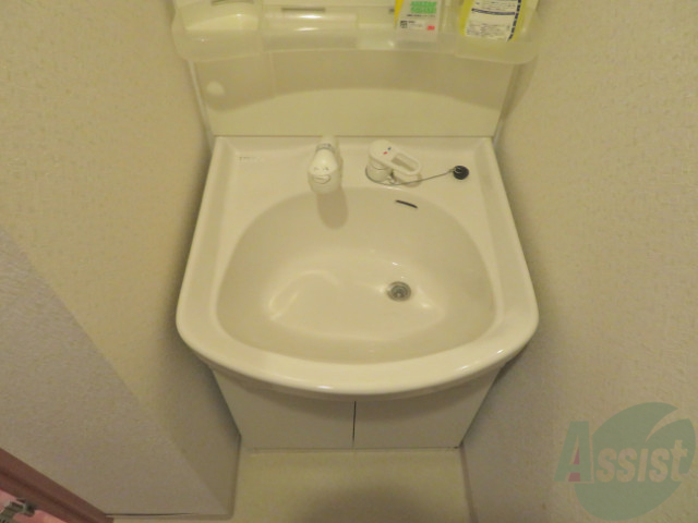 洗面設備　洗面台は、シャワー付きで収納スペースもあるので便利ですね。