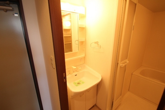 洗面設備　※別号室の写真です