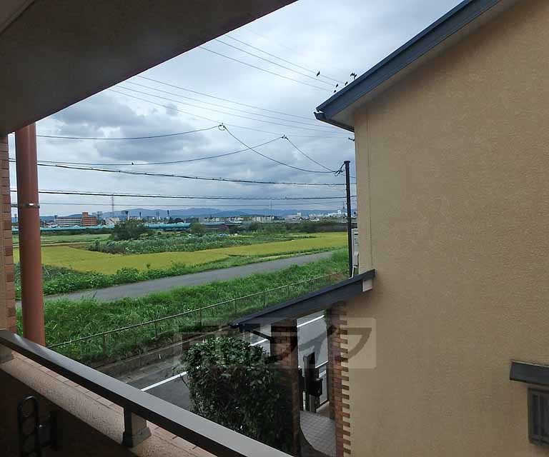 眺望　桂川が見えます