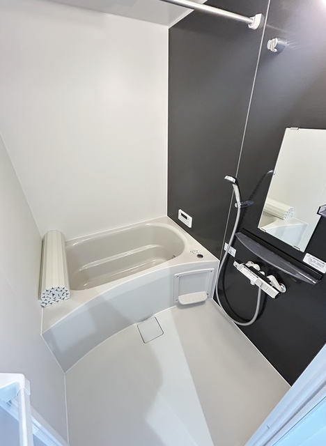 バス・シャワールーム　２０３号室の御写真です。