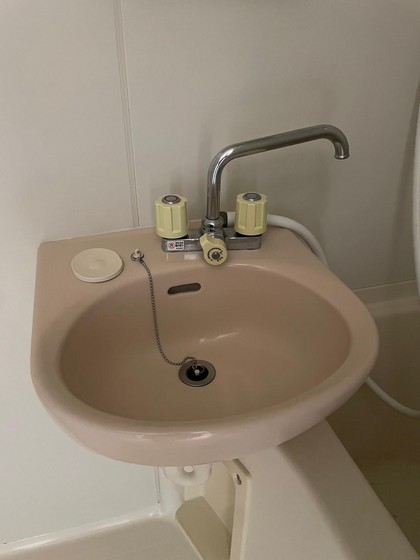 洗面設備　※他号室の写真です。