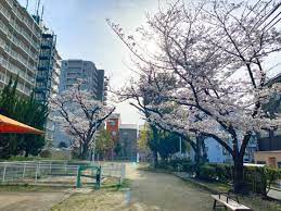 公園　九条南公園（公園）まで339m