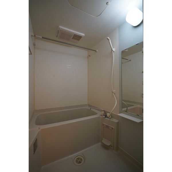 バス・シャワールーム　同じ建物の別なお部屋