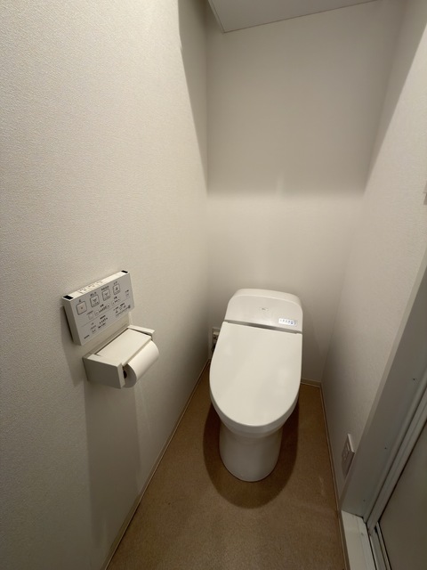 トイレ　※清掃前の状態です