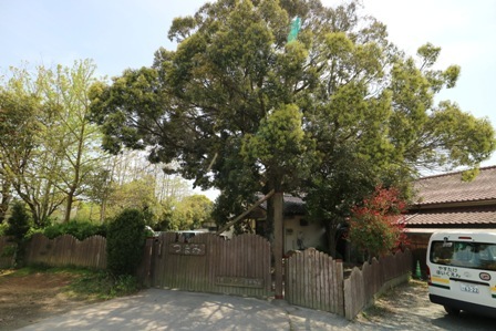 幼稚園・保育園　認定こども園つぼみ幼稚園（幼稚園・保育園）まで515m