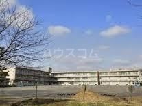 小学校　柏市立松葉第一小学校（小学校）まで824m