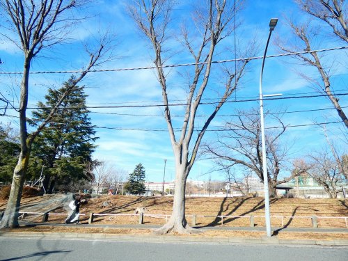 公園　美しが丘公園（公園）まで949m