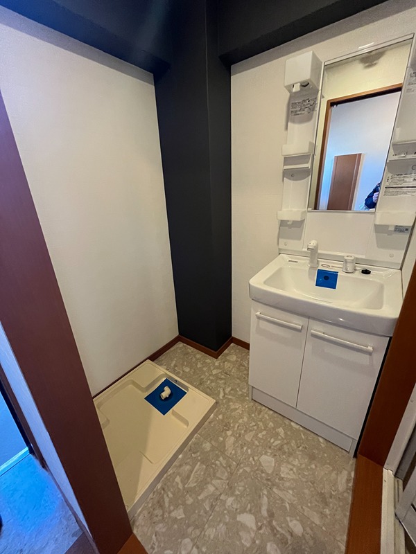 洗面設備　忙しい朝にうれしいシャワー付き洗面化粧台