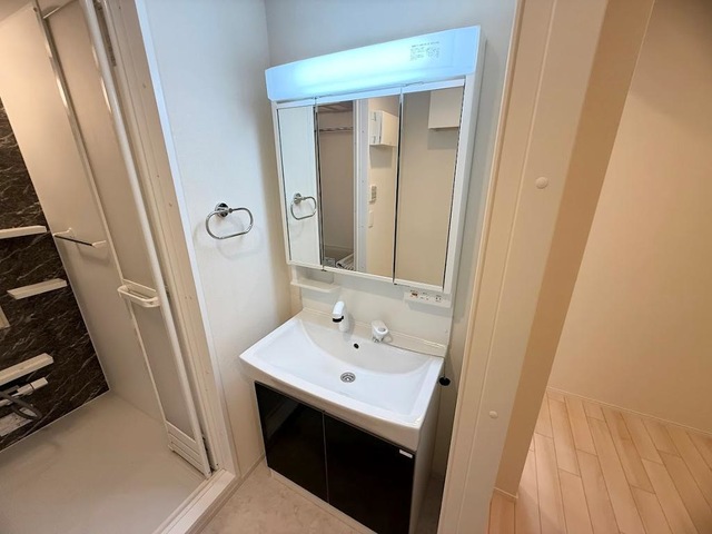 洗面設備　洗面(イメージ)