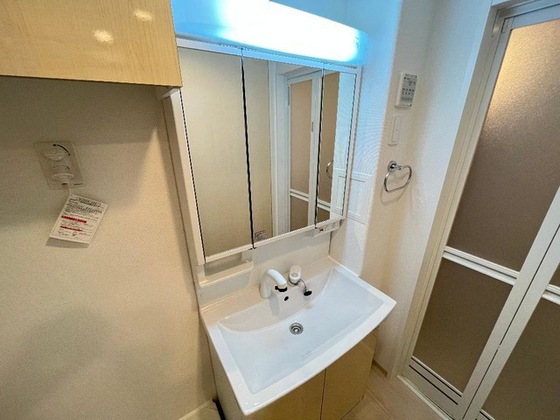 洗面設備　※別部屋の写真です