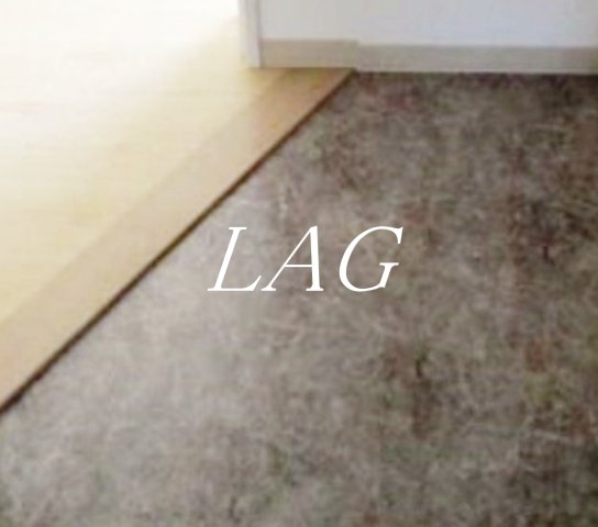 玄関　玄関です。（同仕様です。）