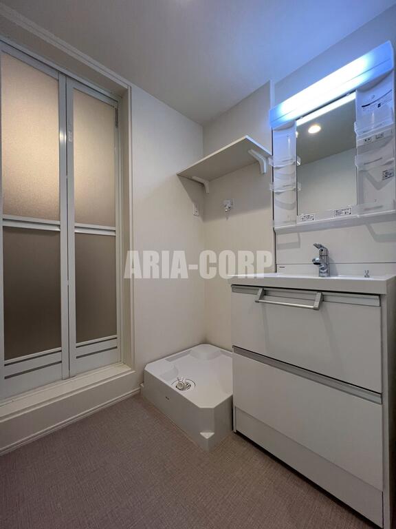 洗面設備　独立洗面台、シャワーヘッドタイプで洗髪や手入れに◎です