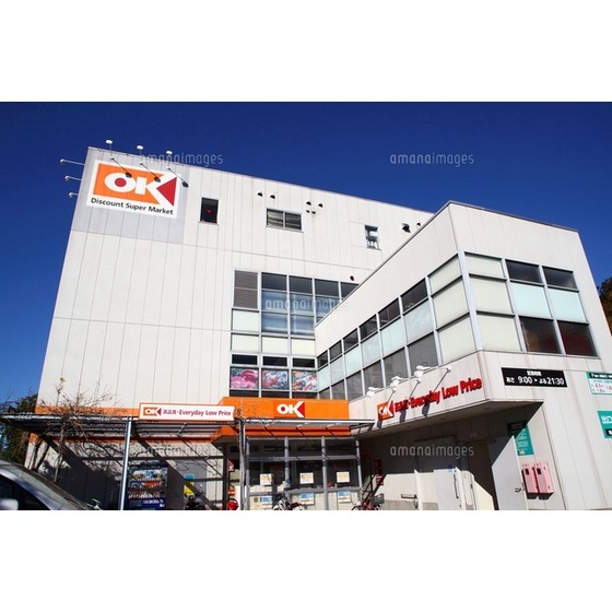 その他　スーパー「オーケー成城店まで202ｍ」