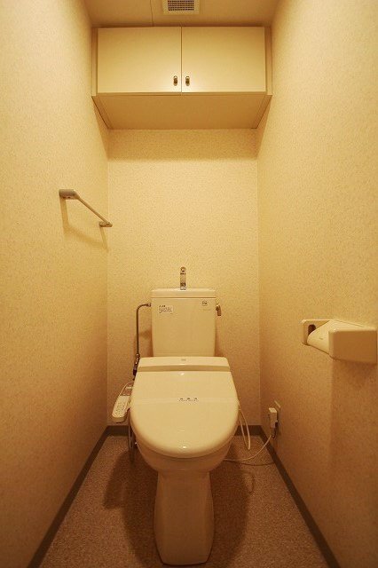 トイレ　同物件別号室のものです。