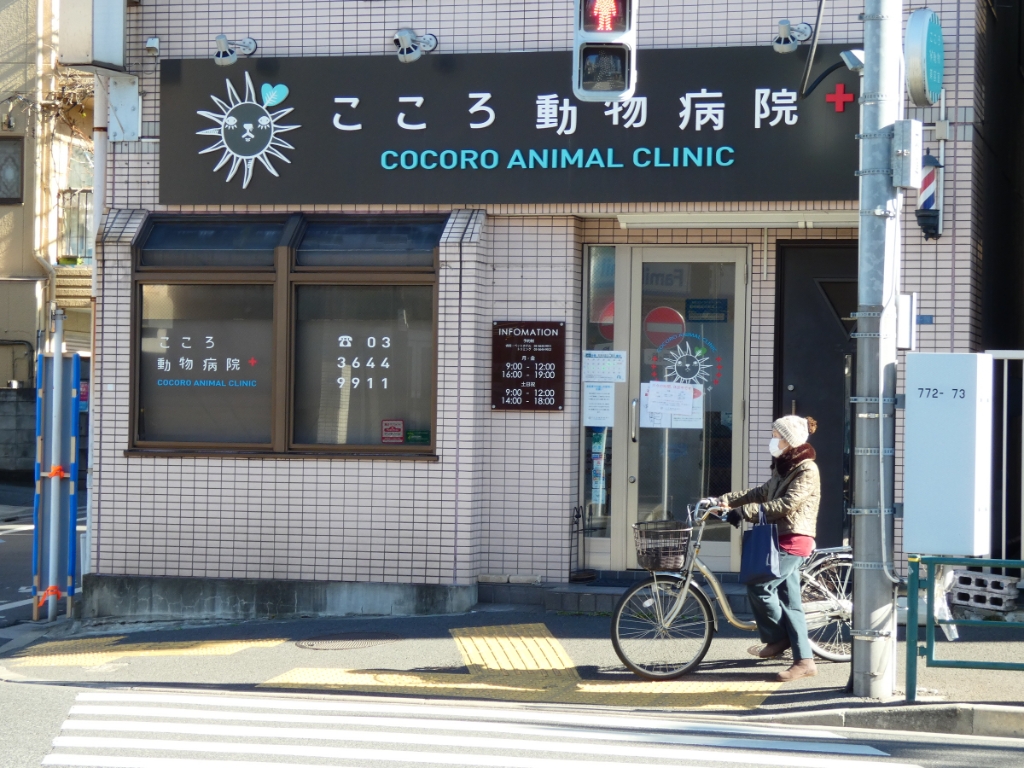 その他　こころ動物病院（その他）まで201m