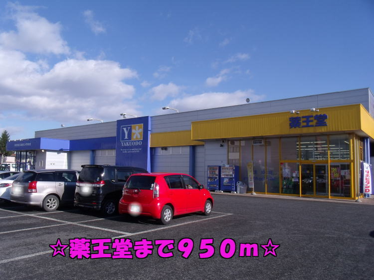 ドラックストア　薬王堂（ドラッグストア）まで950m