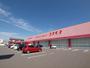 ドラックストア　ディスカウントドラッグコスモス住吉店（ドラッグストア）まで869m