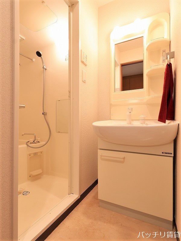 洗面設備　同室タイプ掲載の為現況を優先します。