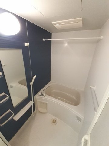 バス・シャワールーム　落ち着いた空間のお風呂です