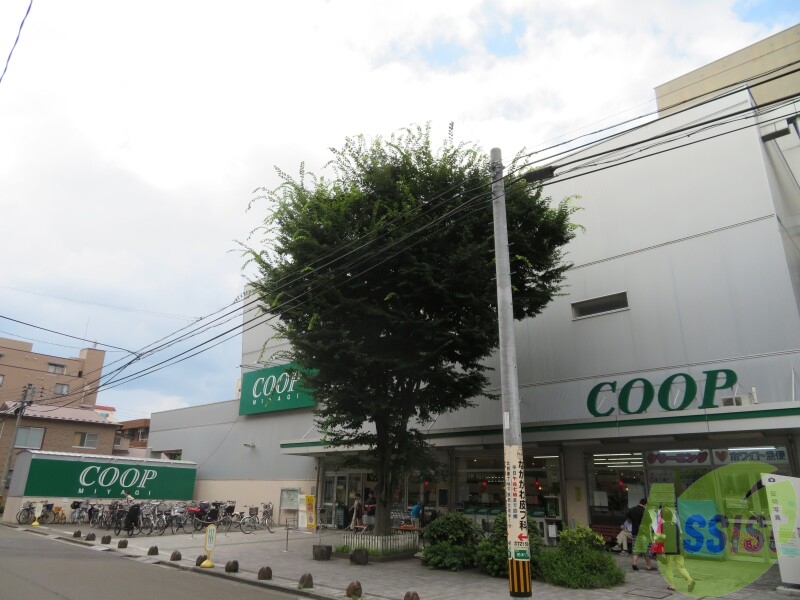 スーパー　COOP　MIYAGI柏木店（スーパー）まで340m