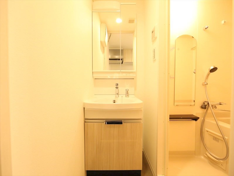 洗面設備　脱衣所　独立洗面台（シャンプードレッサー付）収納スペース有