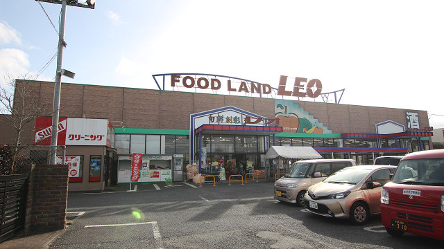 スーパー　レオ（スーパー）まで1243m