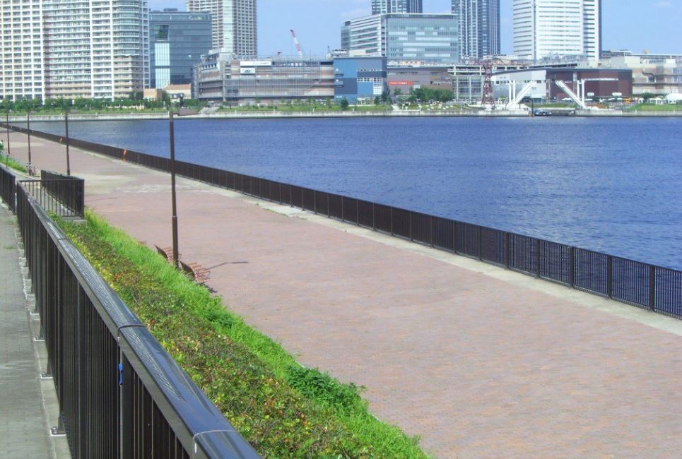 公園　豊洲公園（公園）まで546m