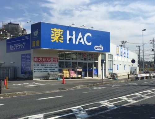 ドラックストア　ハックドラッグ川崎稲田堤店（ドラッグストア）まで313m