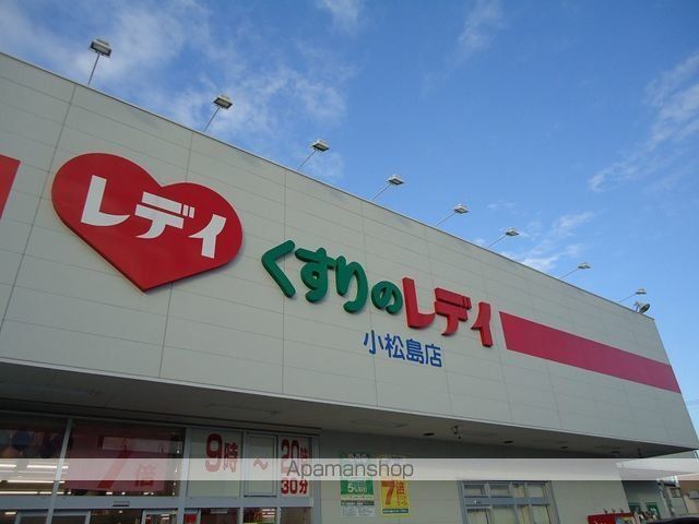 ドラックストア　レディ薬局小松島店様（ドラッグストア）まで1000m