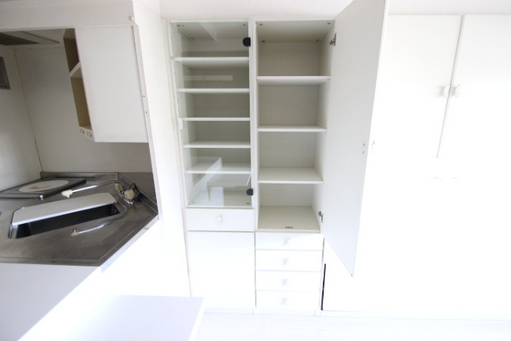 収納　※別部屋の写真です