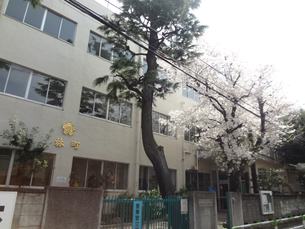 小学校　文京区立林町小学校（小学校）まで514m