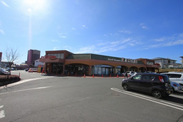 スーパー　カスミ（スーパー）まで1100m