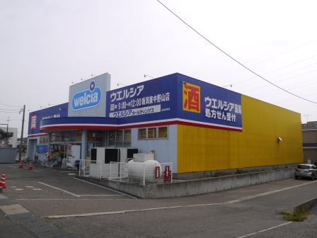 ドラックストア　ウエルシア薬局新潟東中野山店（ドラッグストア）まで351m