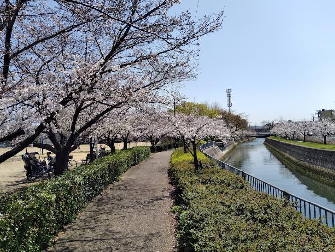 公園　津門中央公園（公園）まで1268m