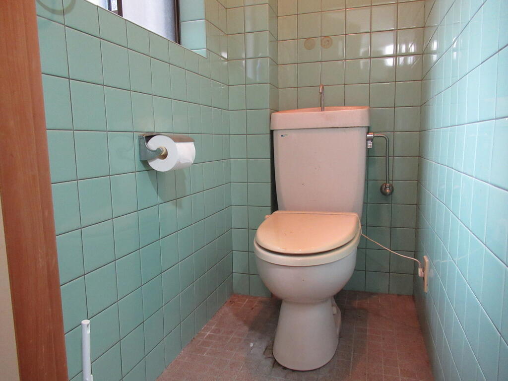 とさでん交通伊野線 朝倉駅前駅 徒歩16分 2階建 築37年のトイレ写真