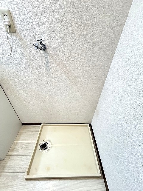 その他　2026.6.26撮影