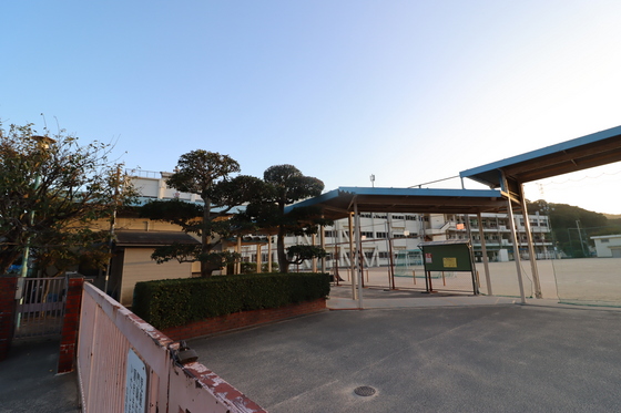 小学校　広島市立畑賀小学校（小学校）まで204m