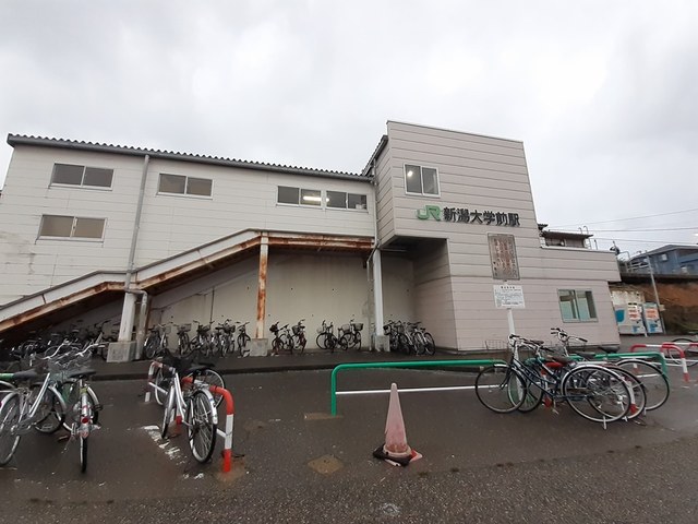 その他　新潟大学前駅（その他）まで400m