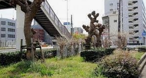 公園　老松街園（公園）まで1087m