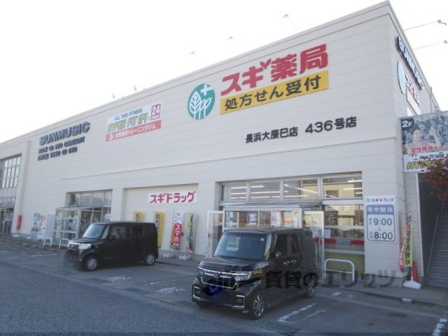 ドラックストア　スギ薬局長浜大辰巳店（ドラッグストア）まで250m