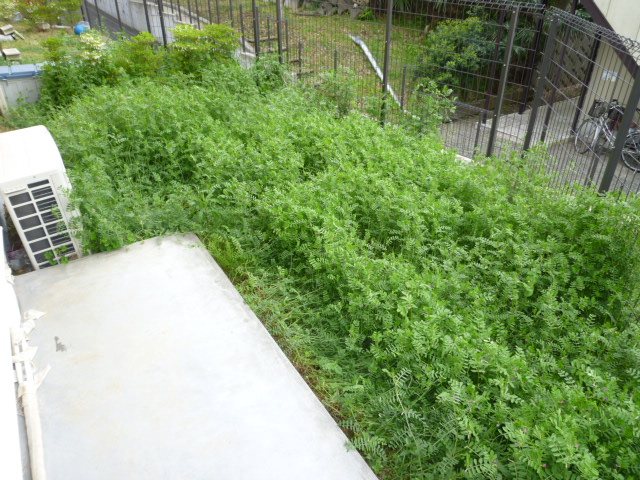 バルコニー　日当たり良好な専用庭がございます