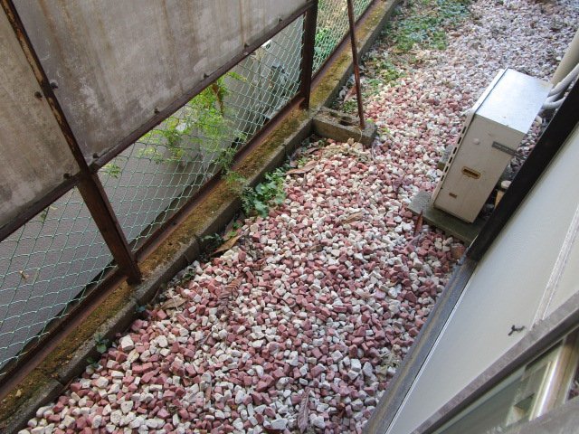 庭